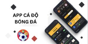 App Cá Độ Bóng Đá