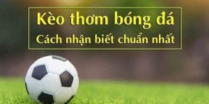 Tips chọn kèo đá banh uy tín đơn giản nhất